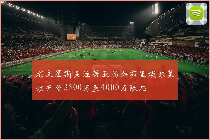尤文图斯关注蒂亚戈加布里埃尔莱切开价3500万至4000万欧元