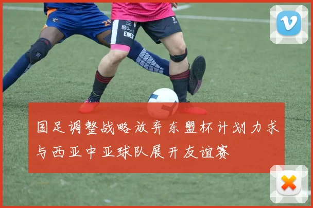 国足调整战略放弃东盟杯计划力求与西亚中亚球队展开友谊赛