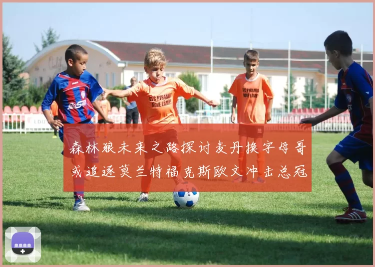 森林狼未来之路探讨麦丹换字母哥或追逐莫兰特福克斯欧文冲击总冠军